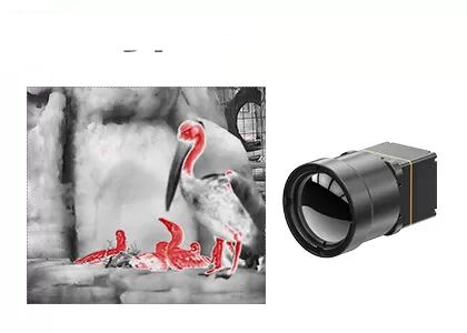 LWIR Thermal Camera Module With Temperature Measurement Range Of -20℃~150℃/0~550℃
