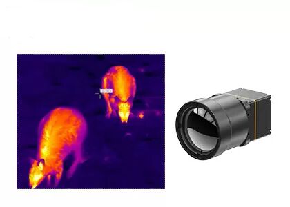 640x512 12µM Uncooled Thermal Camera Core For Wildlife Observation