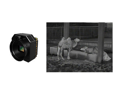 كاميرا الحماية الحرارية عالية الحساسية وحدة الأشعة تحت الحمراء غير المبردة