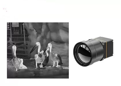 LWIR Uncooled Infrared Camera Core 640x512/12µM